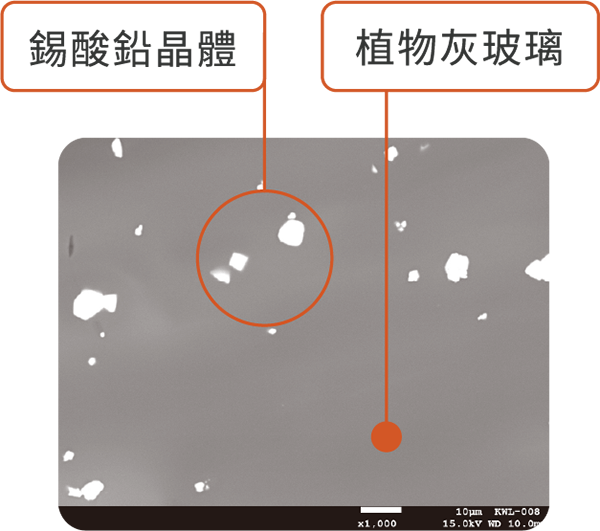 透過SEM-EDS掃描放大1000倍的玻璃微結構，可見錫酸鉛晶體(白色亮點)及植物灰玻璃