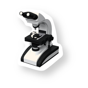 Optical Microscope