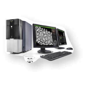 Scanning Electron Microscopy / Energy Dispersive Spectroscopy (SEM-EDS)