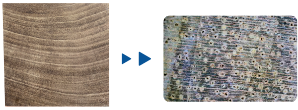 Wood