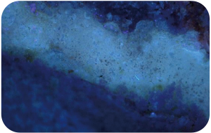 Ultraviolet Microscope