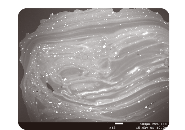 Glass microstructure magnified 65x through SEM-EDS scanning