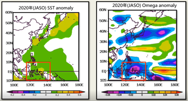 圖9. 2020年JASO海表面溫度距平（左）及垂直速度分布圖（右）
