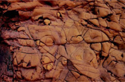 圖一 節理交錯的火成岩，局部已有球狀