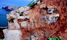 圖二 新鮮的白色閃長岩正逐漸風