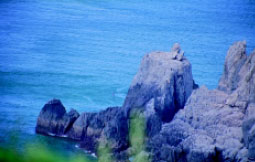 圖四 突出海中的海岬，狀似一隻趴著喝水的高菲