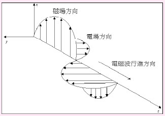 美化用