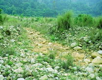 圖五　雨過天青，流水退去，礫石遺留在原地，往　　