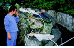 圖六 林生學先生利用鳥鳴哨吸引雄性竹雞