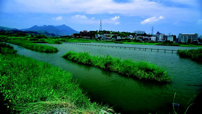 關渡自然公園是許多淡水河沿岸一個重要的濕地(攝影者:許皓捷)