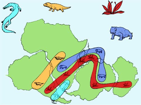 大陸漂移說的古生物證據分布圖〈參自何春蓀,1980〉