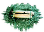 筆筒樹莖製作成的野蜜蜂蜂巢