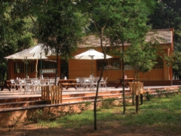 圖七  露天咖啡座