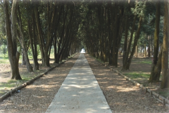 圖八  肖楠步道