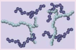 圖四 布朗運動所造成塵埃長鏈形狀。