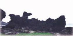 圖六 火山集塊岩因差異侵蝕形成獨特的造型。