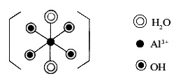 圖一鋁酸錯離子