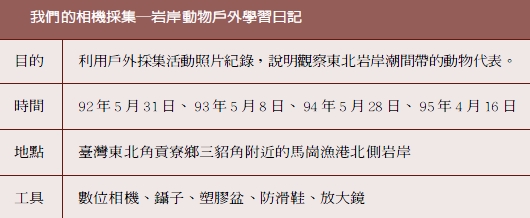 我們的相機採集 岩岸動物戶外學習日記