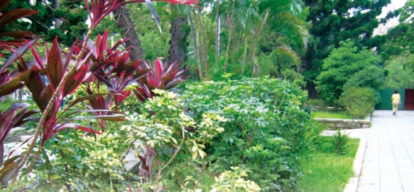 採多層次雜生混種綠化方式