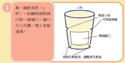 A 杯剪個小洞 可以穿過棉繩
開個窗口 兩側剪個洞，讓壓條可以通過