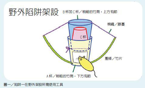 圖一／陷阱一在野外架設所需使用工具 