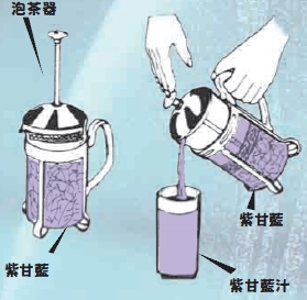 圖二 用泡茶器萃取紫甘藍汁