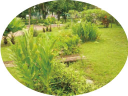 田子國小生態淨水渠道外觀