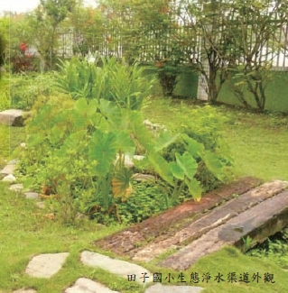 田子國小生態淨水渠道外觀