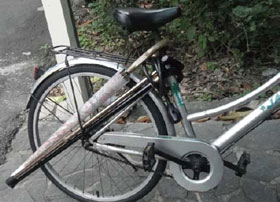 圖1 單車與傘及柺杖