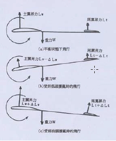圖6 尾翼提供的安定性。