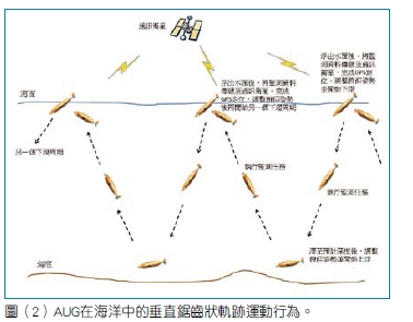 圖（2） AUG在海洋中的垂直鋸齒狀軌跡運動行為。