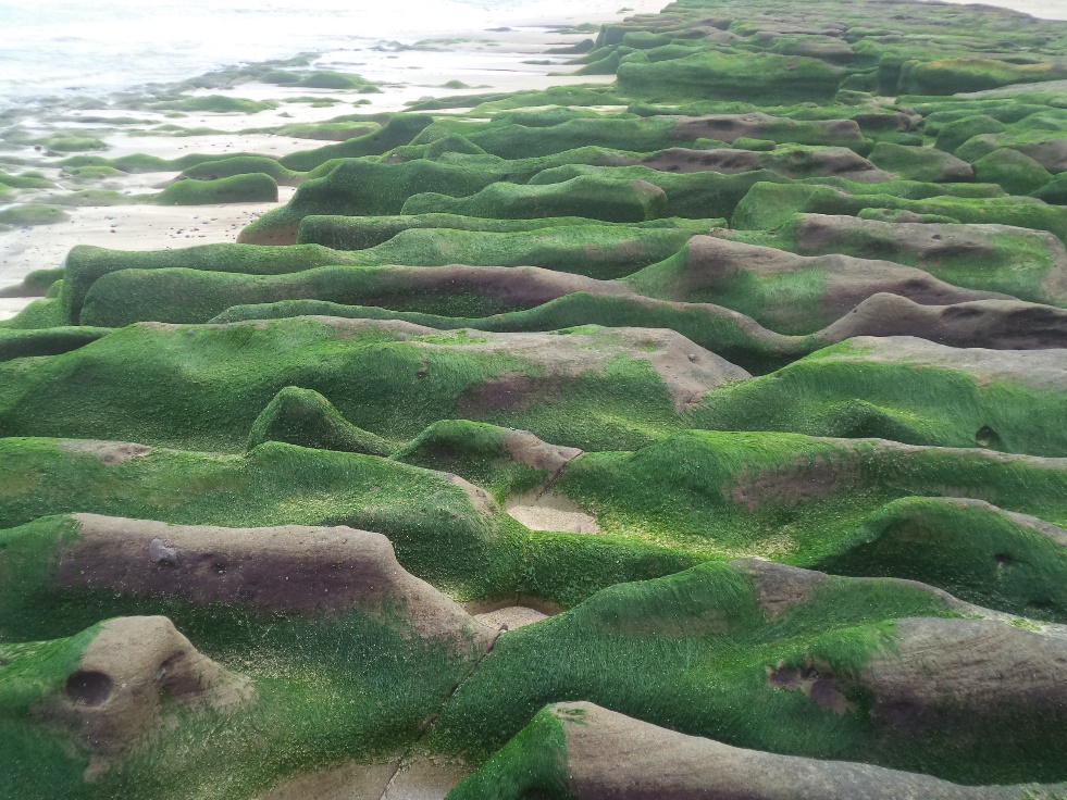 臺灣北海岸的地質地形教學資源圖14
