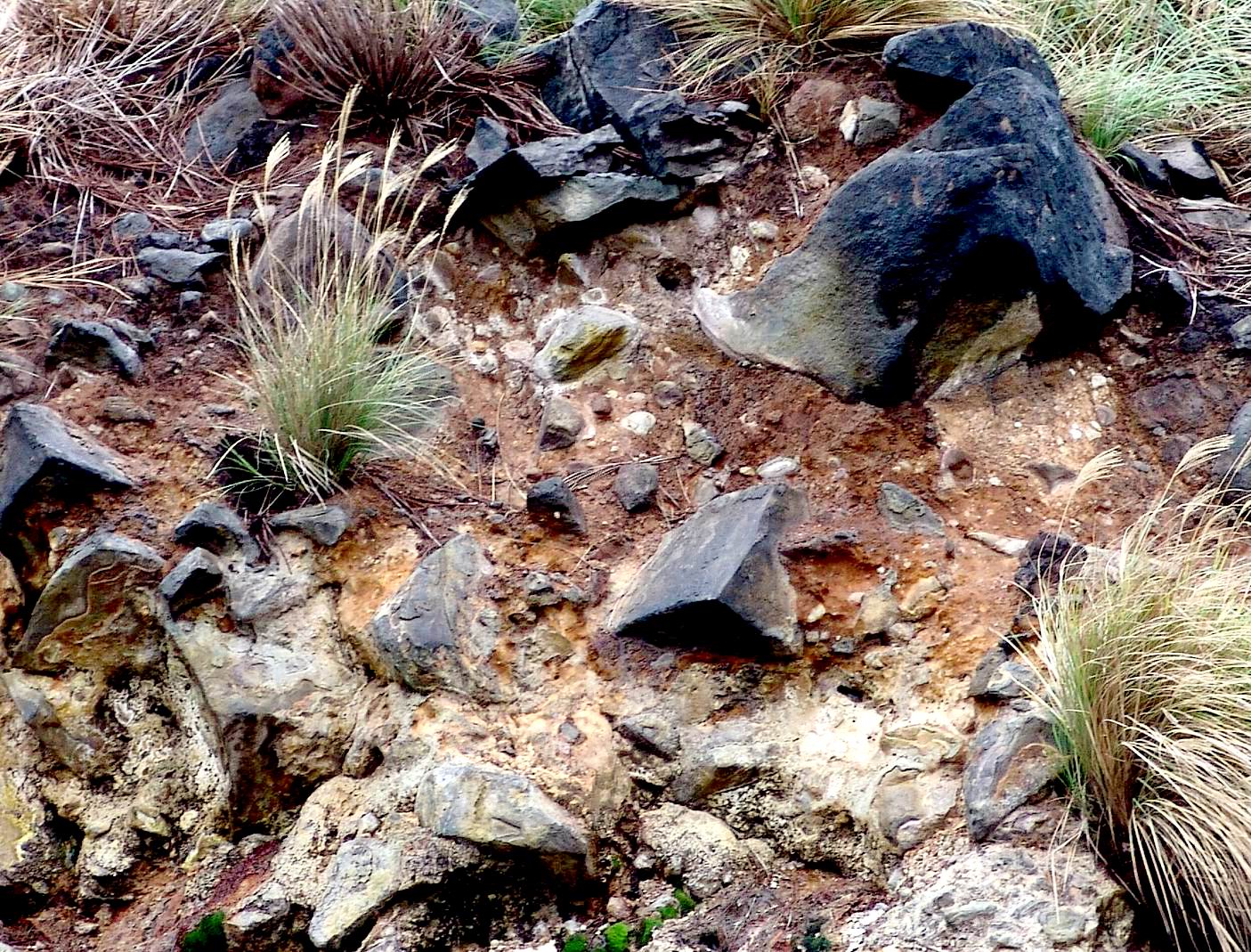 大屯火山群地景巡禮圖10