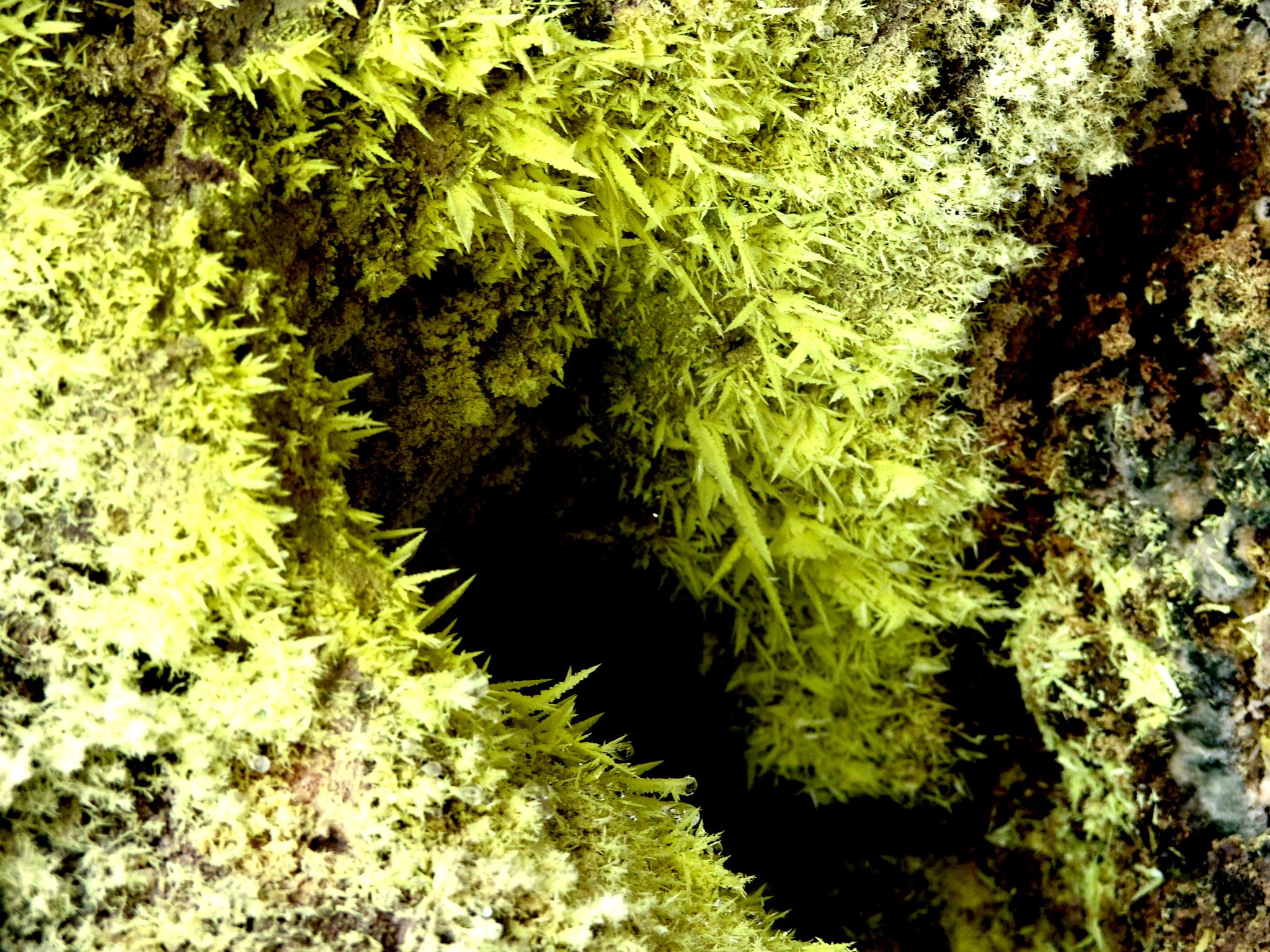 大屯火山群地景巡禮圖12