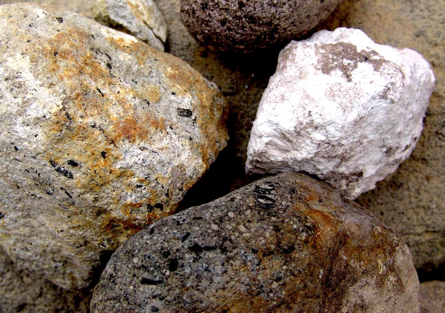 大屯火山群地景巡禮圖13